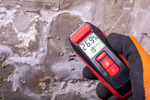 Best Attic Mold Removal  in Bradner, OH
