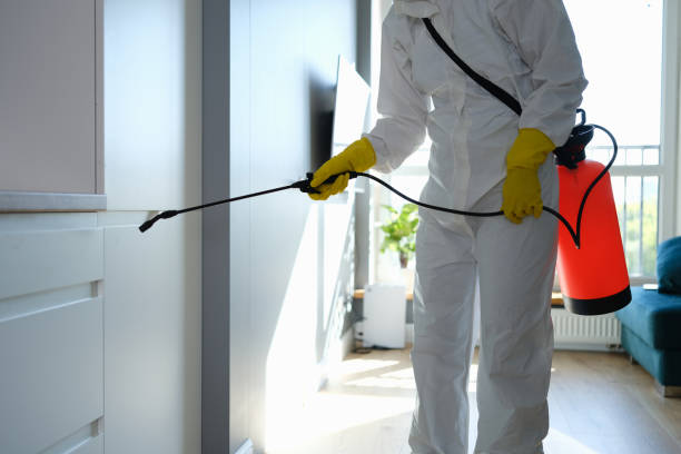 Best Mold Damage Repair  in Bradner, OH